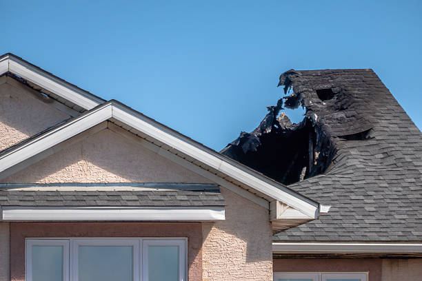 Top rated local Odor Removal specialists in Waverly, VA